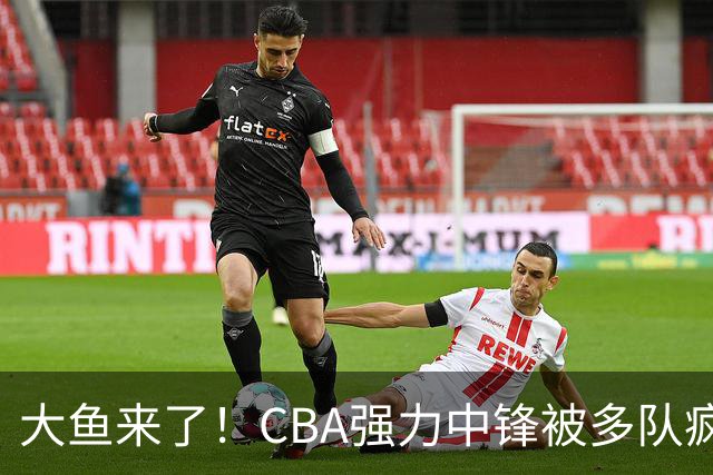 大鱼来了！CBA强力中锋被多队疯抢，或加盟广东队驰援杜锋？